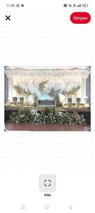 Pelaminan Silver